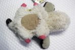 Peluche Heen