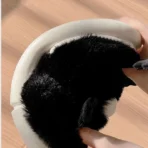 Pantofole Susuwatari