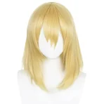 Costume Howl