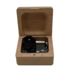 Carillon La Città incantata Film