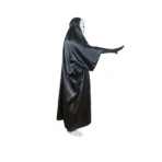 Cosplay La città incantata